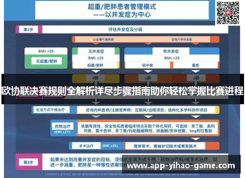 欧协联决赛规则全解析详尽步骤指南助你轻松掌握比赛进程